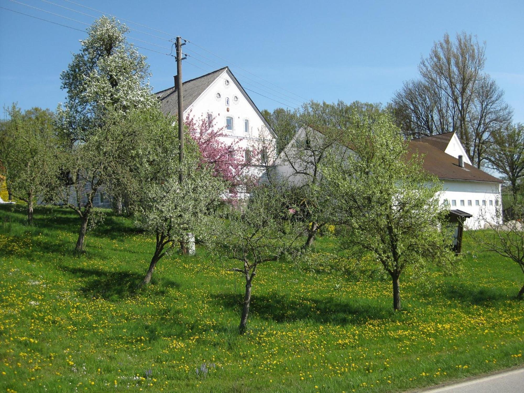 Comfortable Apartments In Rotthalm Nster Rotthalmuenster Exterior photo