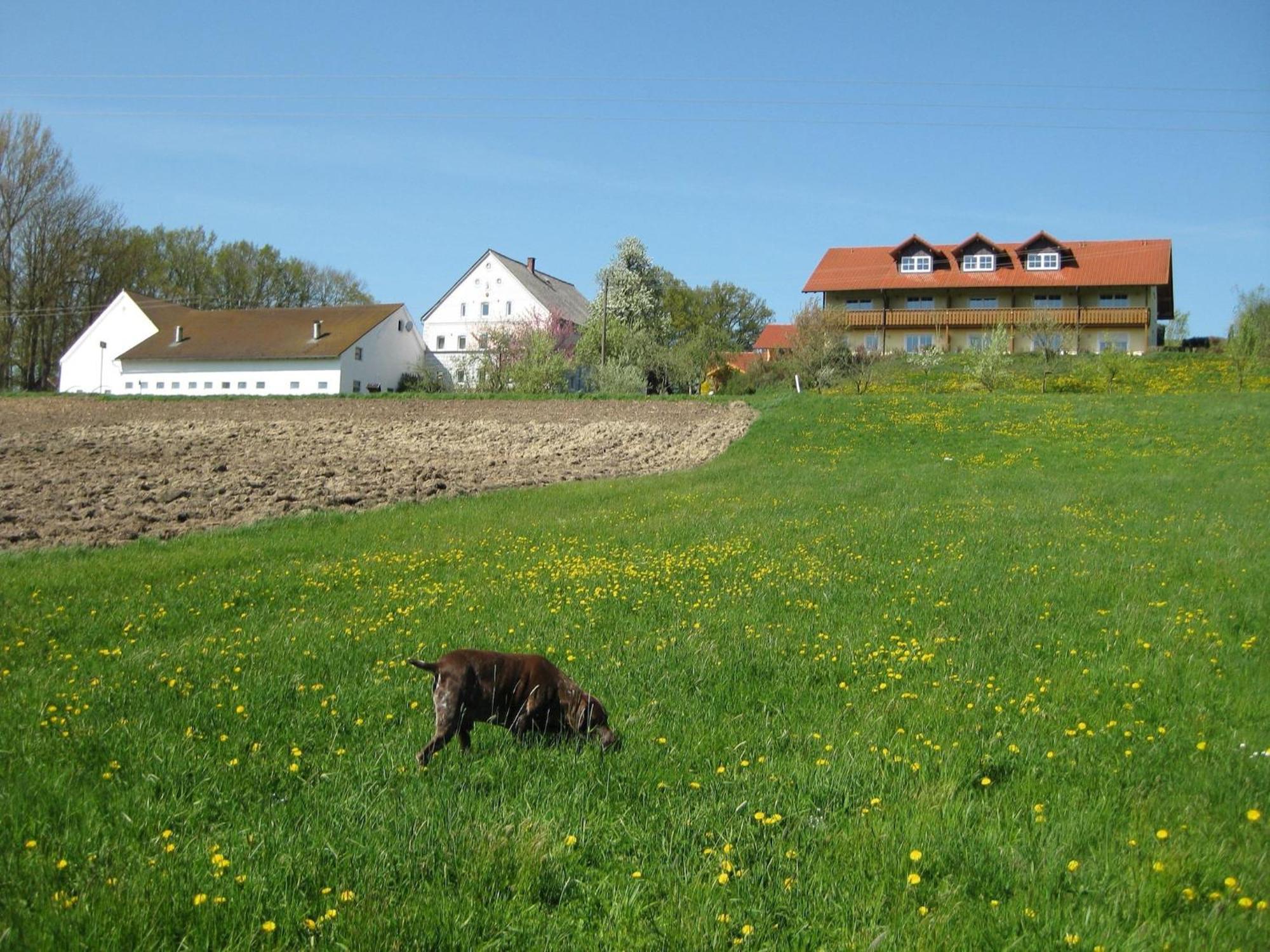 Comfortable Apartments In Rotthalm Nster Rotthalmuenster Exterior photo