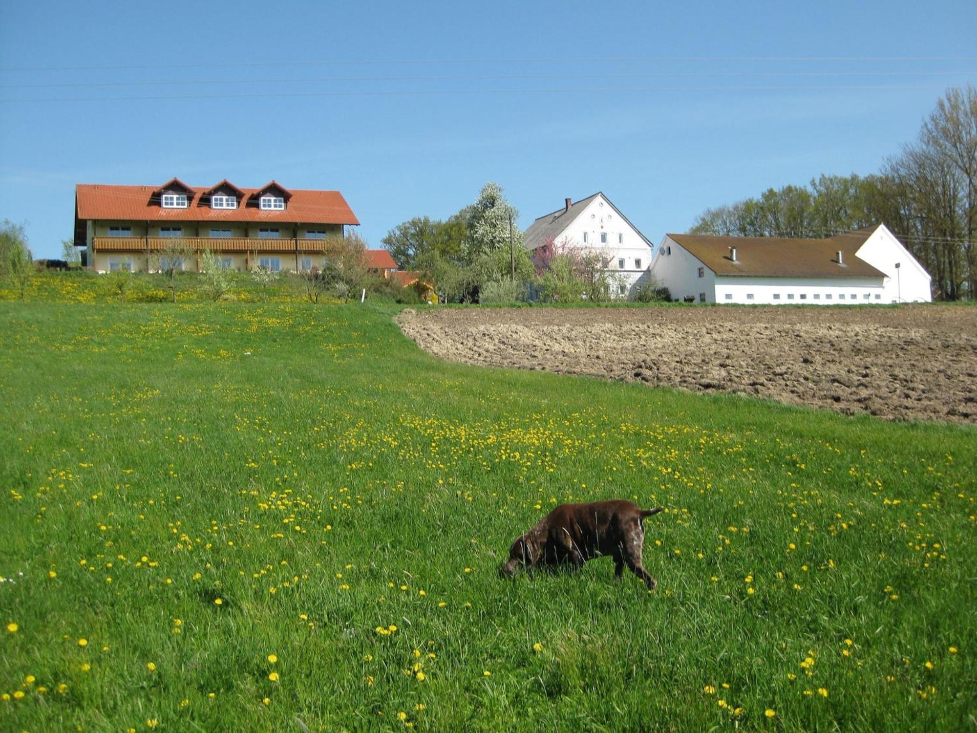 Comfortable Apartments In Rotthalm Nster Rotthalmuenster Exterior photo